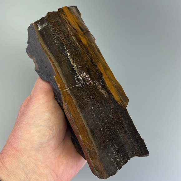 Petrified Wood - Picture 5 of 11